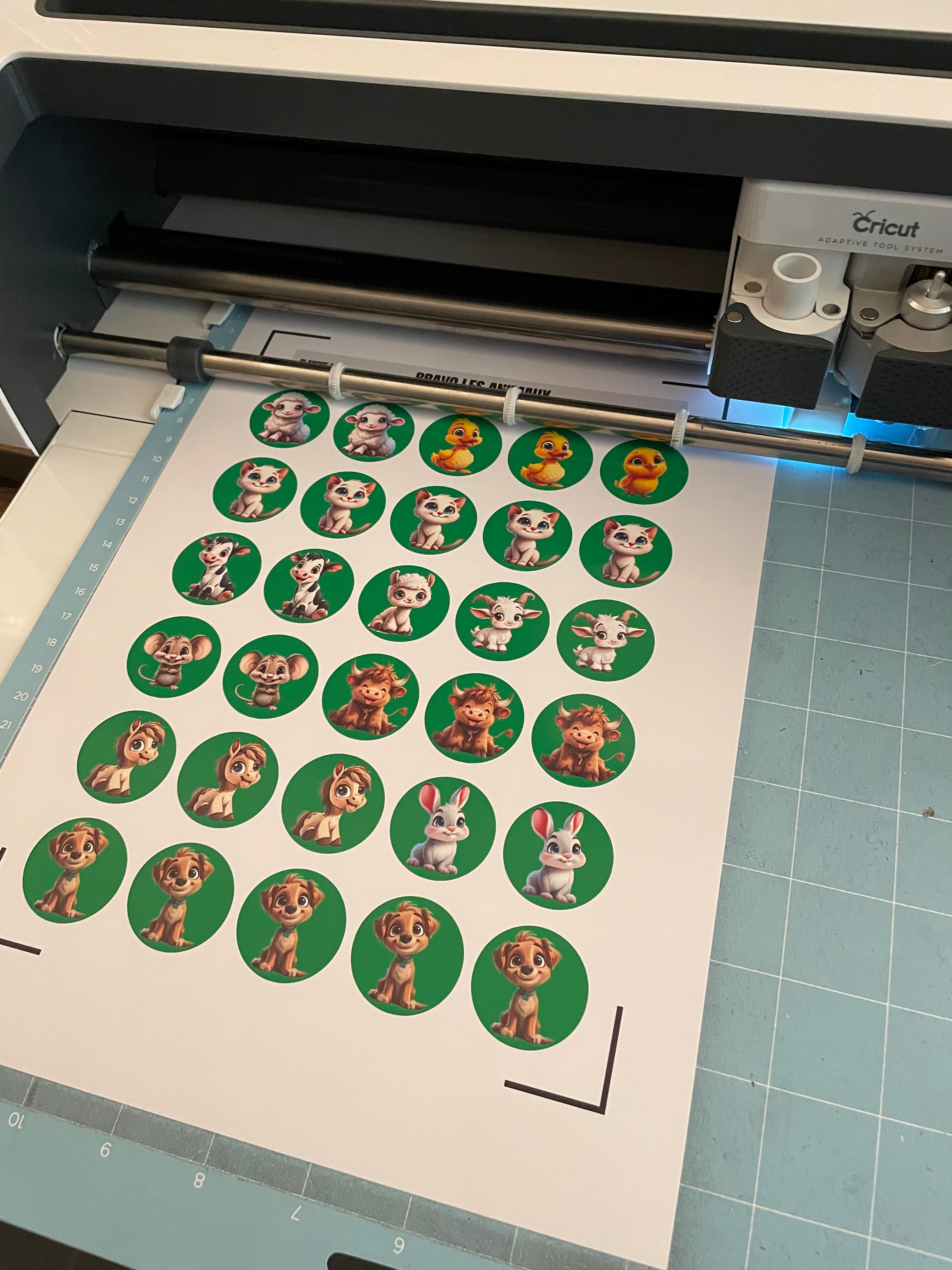 Stickers gommettes animaux mignons : acquis / en voie d'acquisition