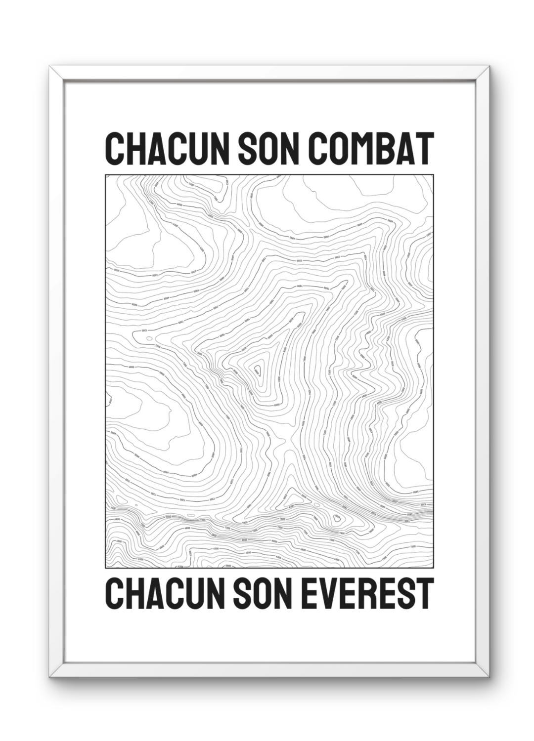 Affiche chacun son combat, chacun son Everest