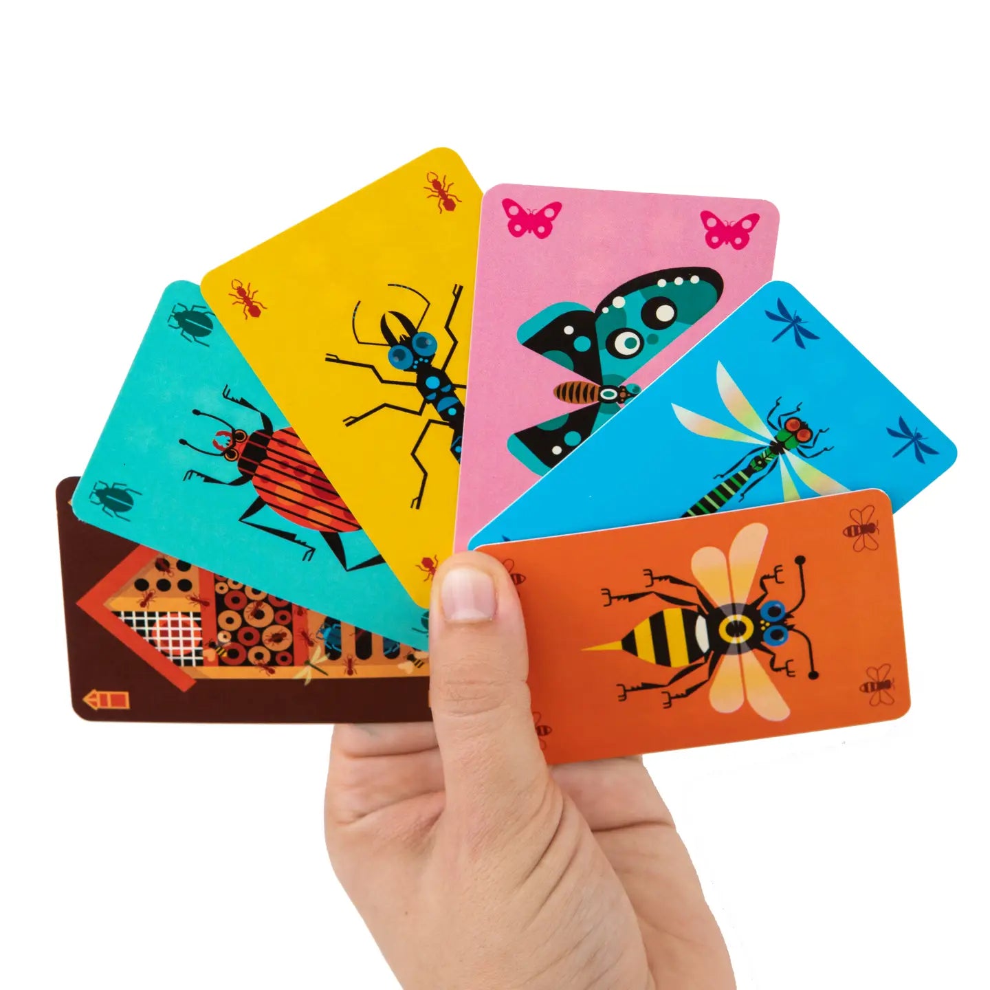Micronimo - Le plus grand collectionneur d'insectes