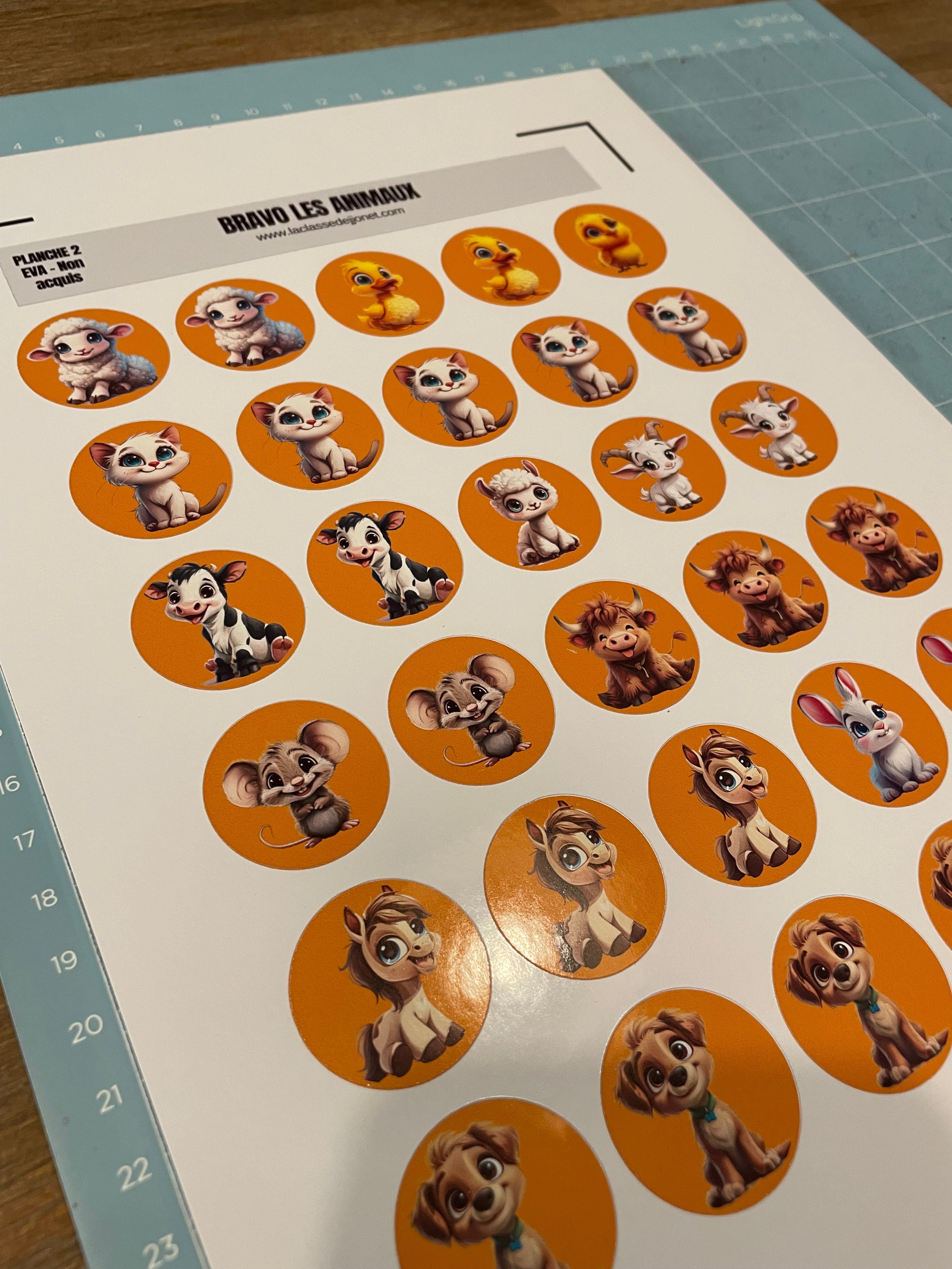 Stickers gommettes animaux mignons : acquis / en voie d'acquisition