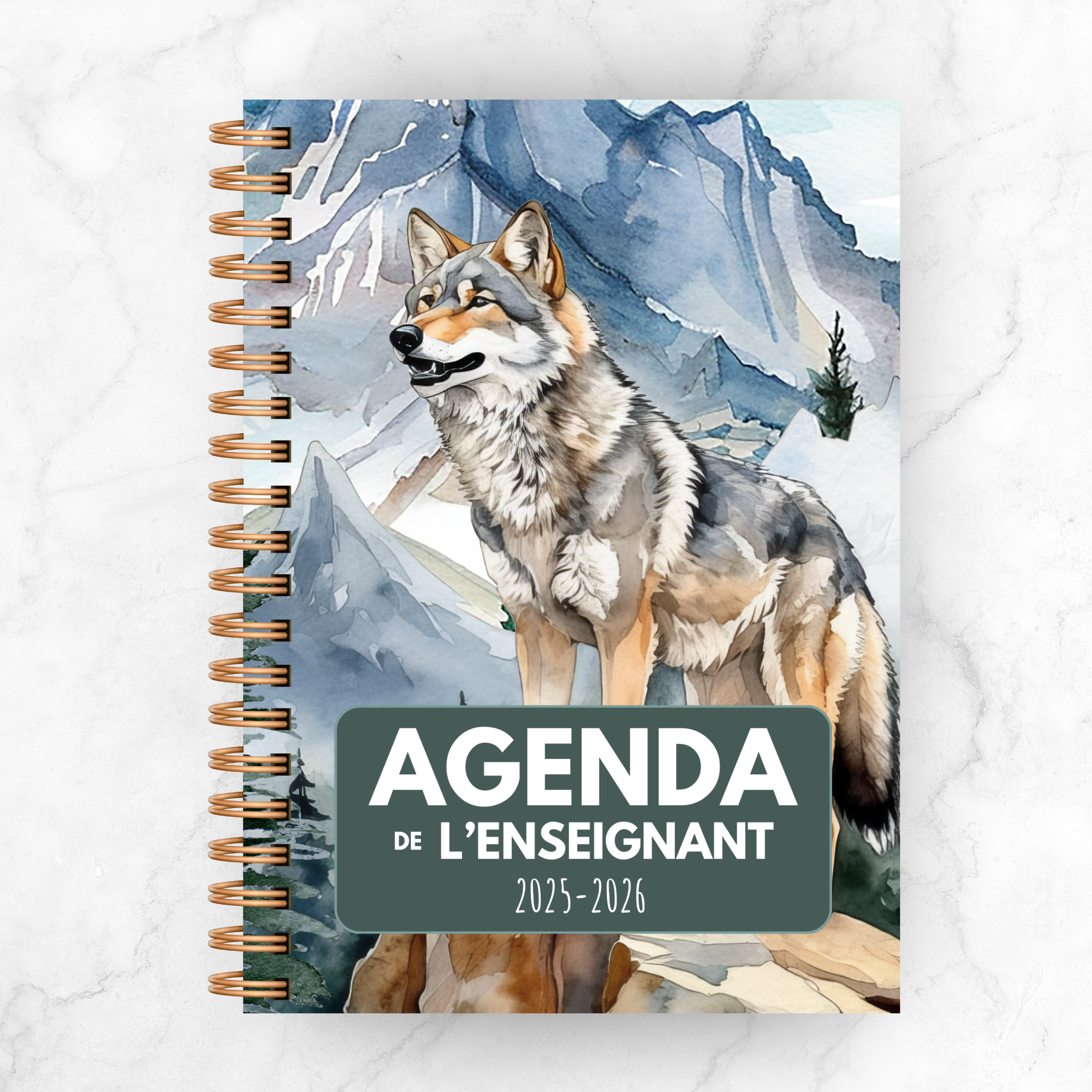 Agenda de l'enseignant SILVER