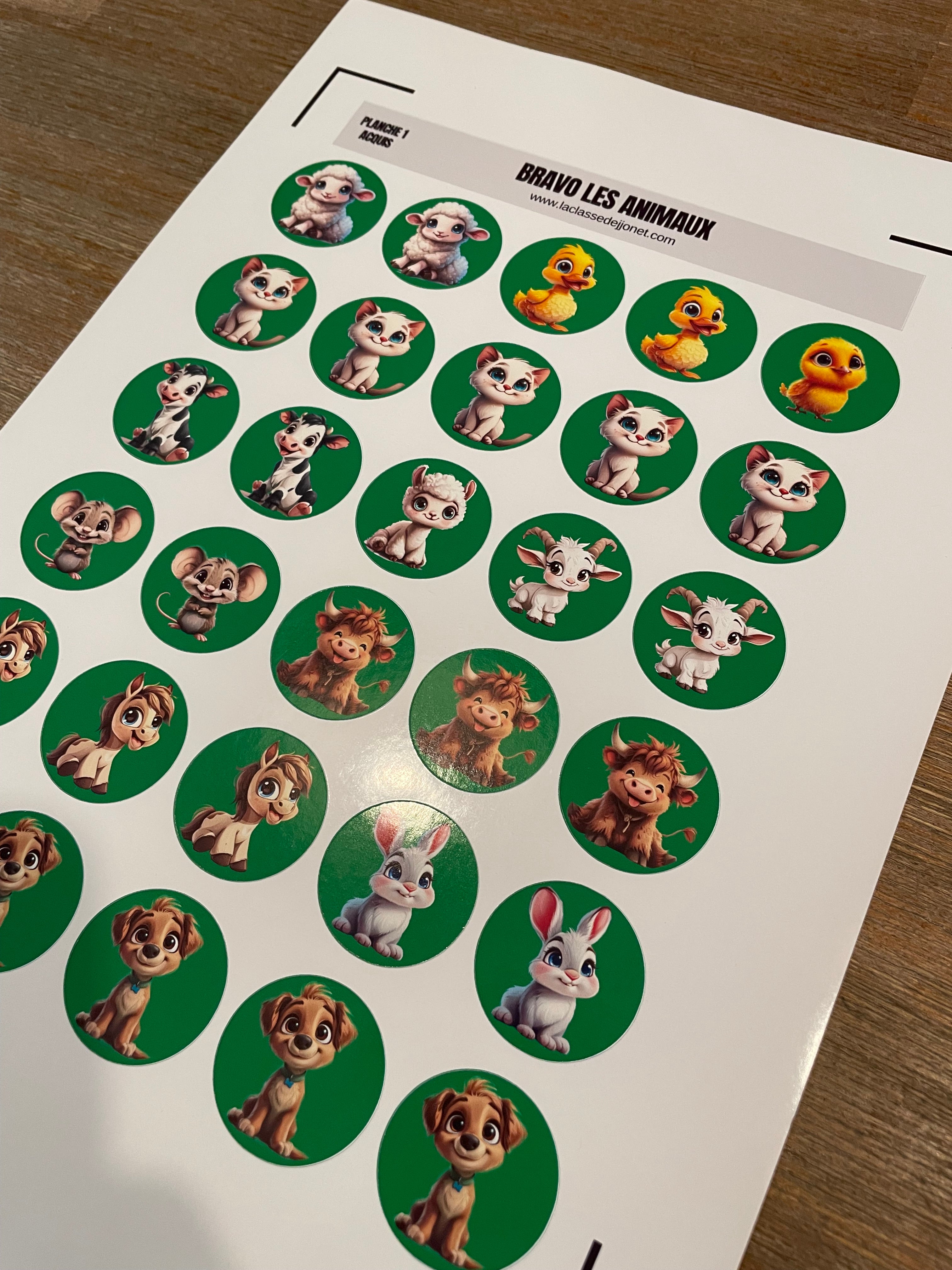 Stickers gommettes animaux mignons : acquis / en voie d'acquisition