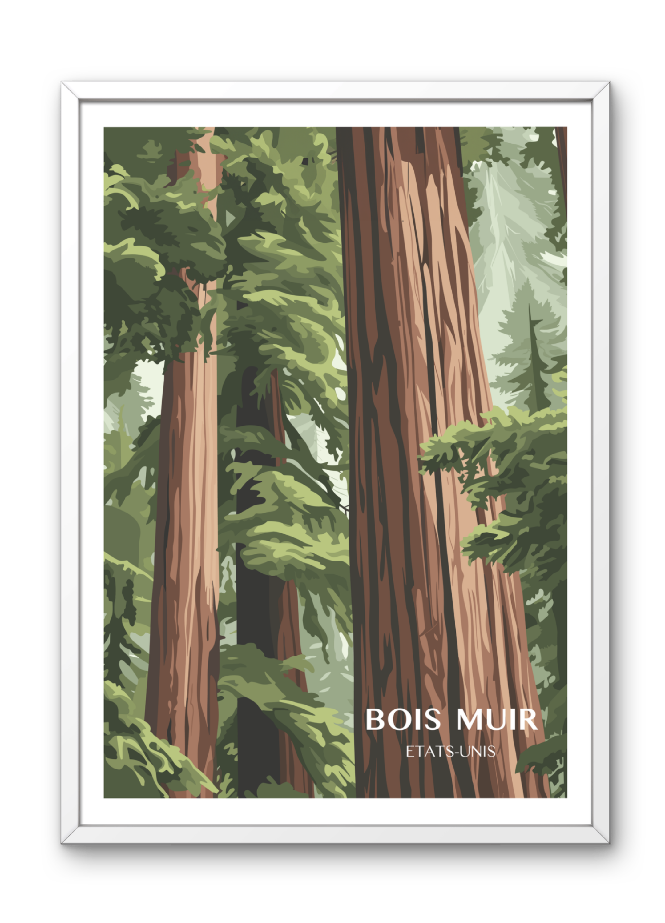 Affiche voyage - Bois Muir 🇺🇸