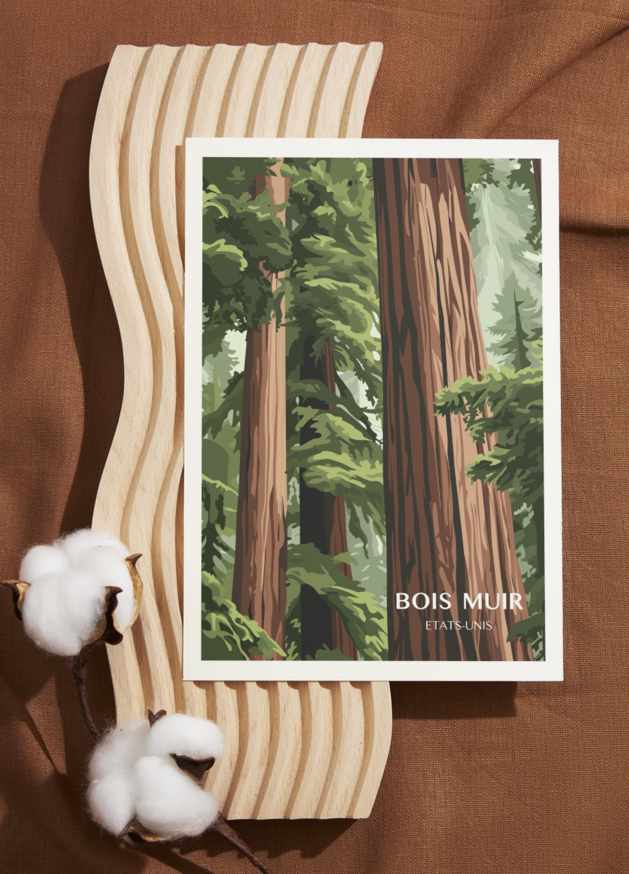 Affiche voyage - Bois Muir 🇺🇸