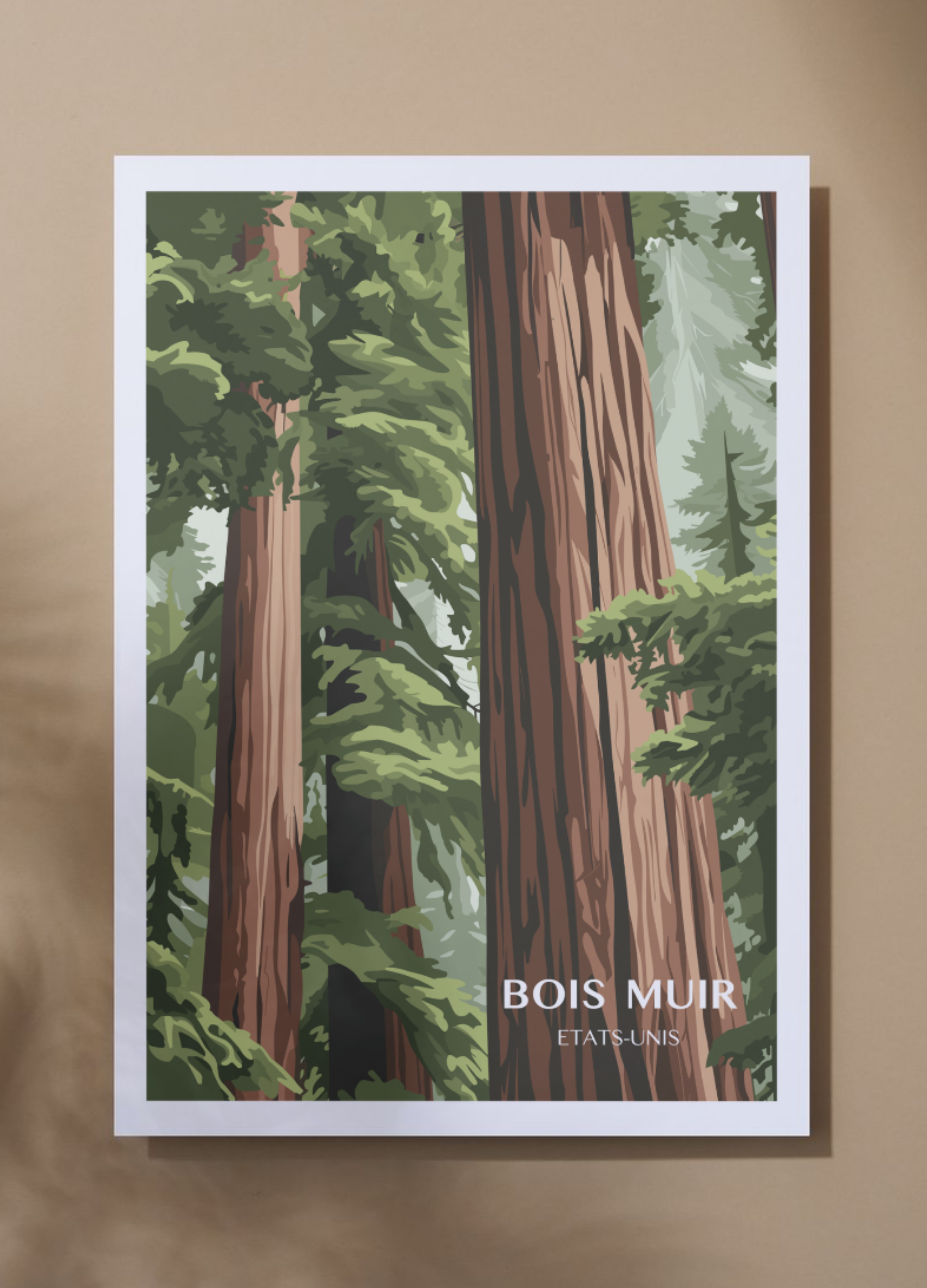 Affiche voyage - Bois Muir 🇺🇸