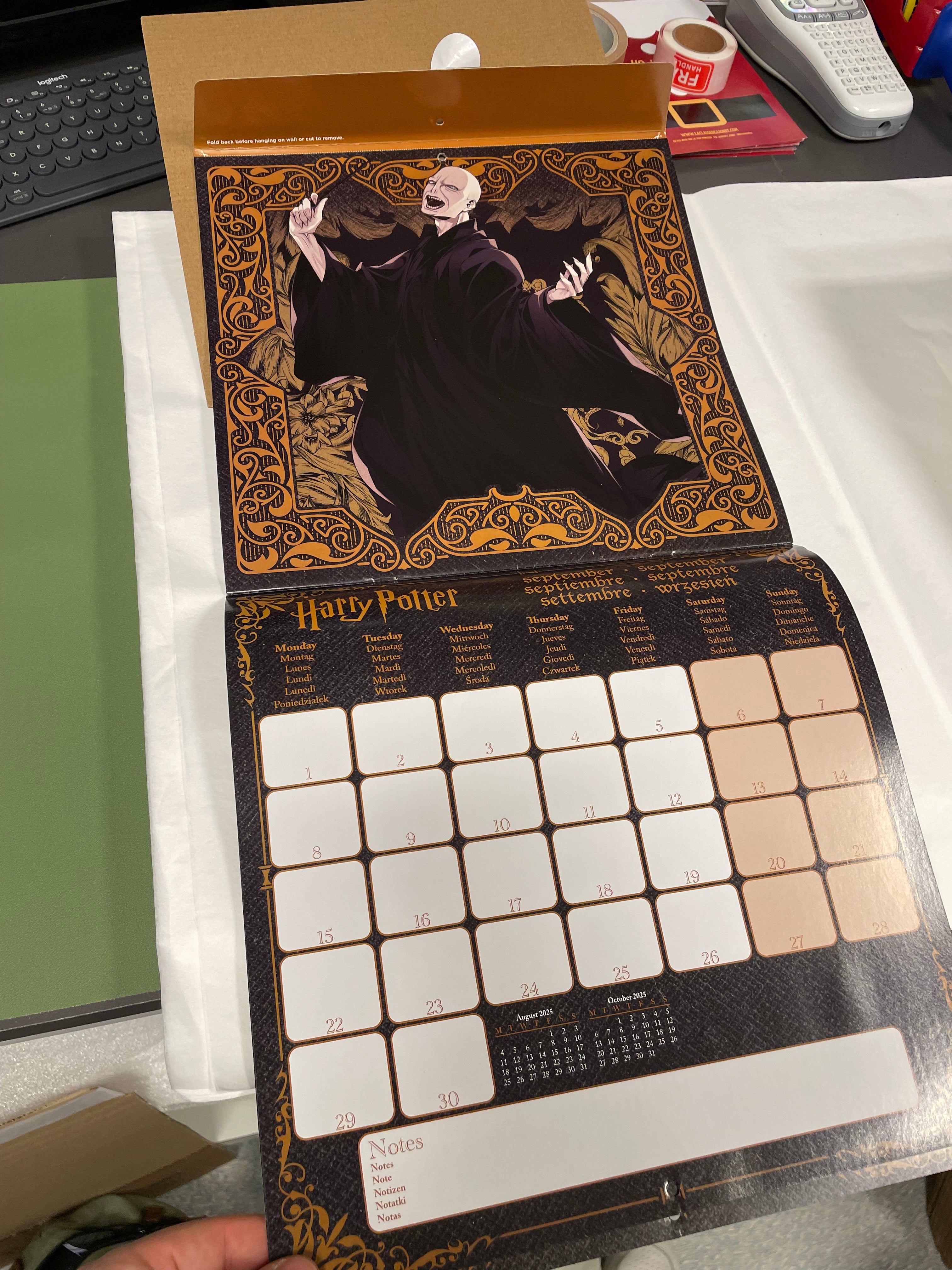Harry Potter - Calendrier 2025