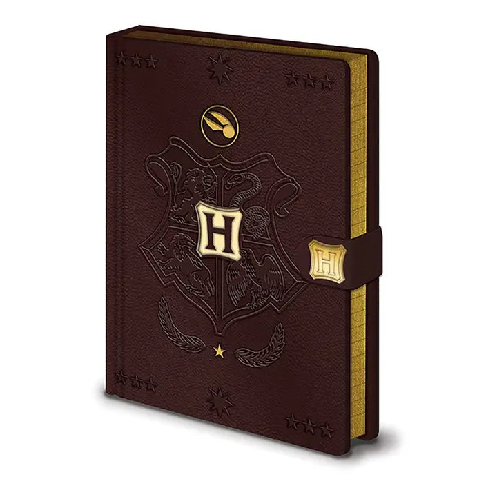 Harry Potter - Carnet A5 premium Quidditch