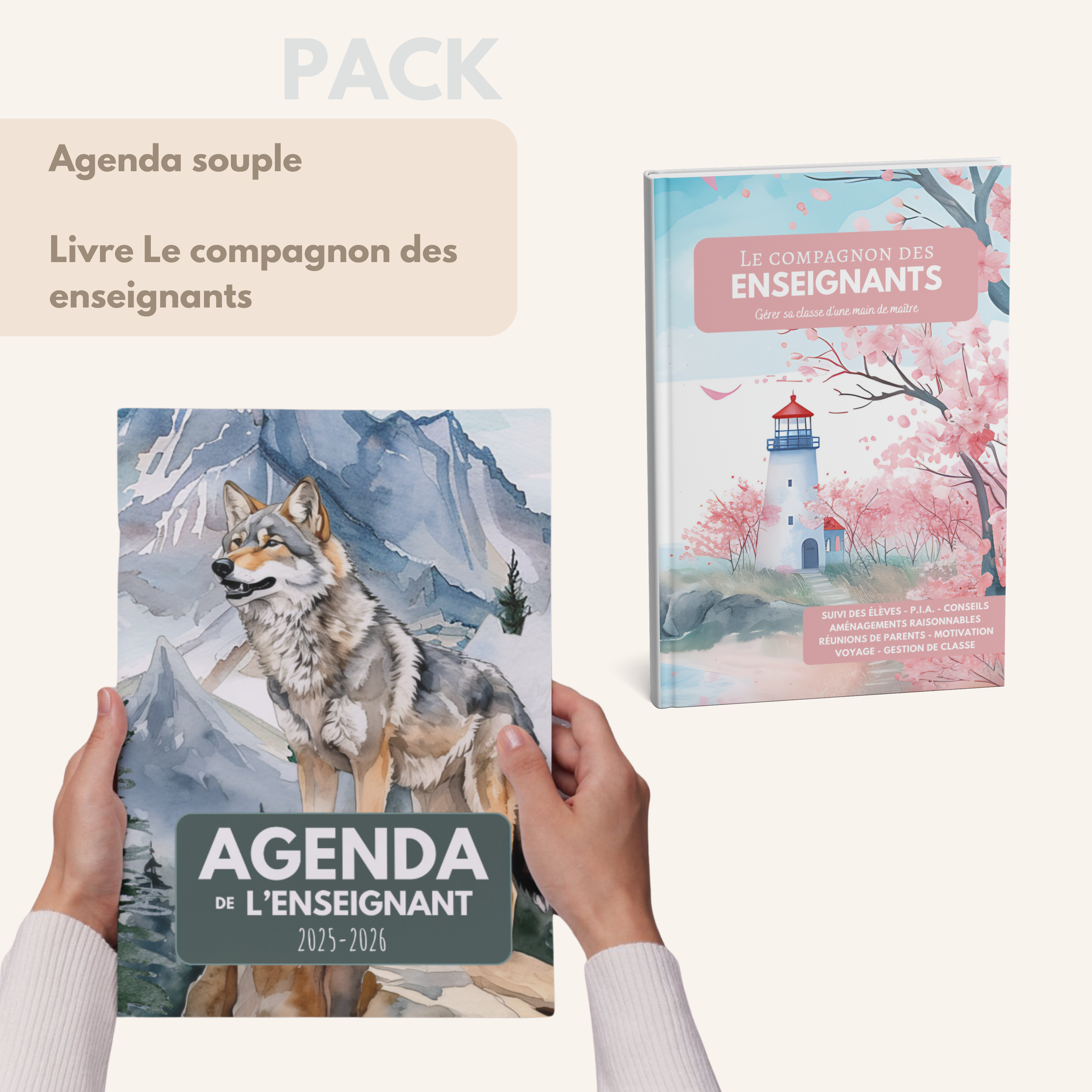 Agenda de l'enseignant SILVER