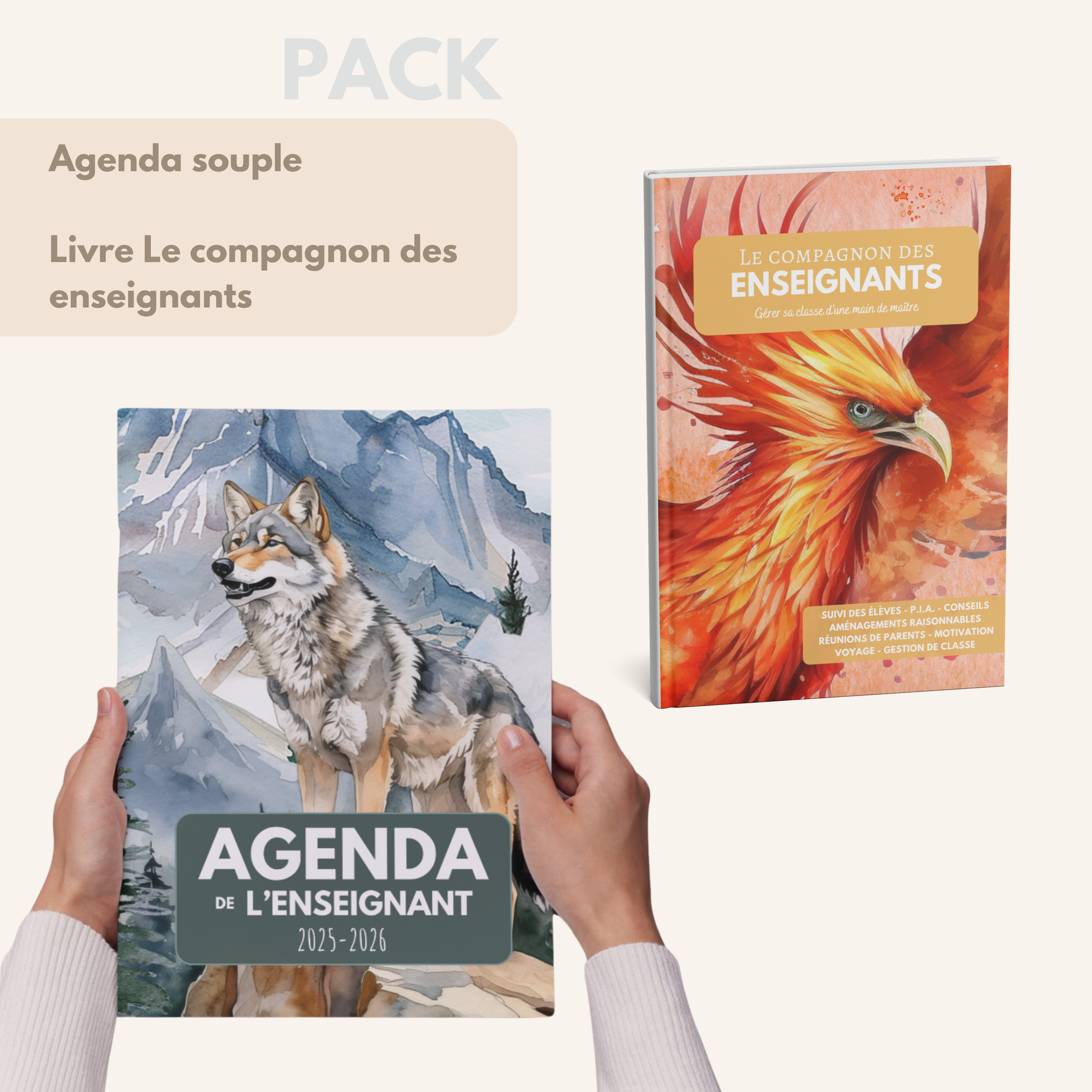 Agenda de l'enseignant SILVER