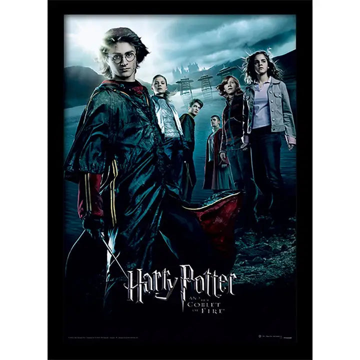 Affiche encadrée - Harry Potter et la Coupe de feu