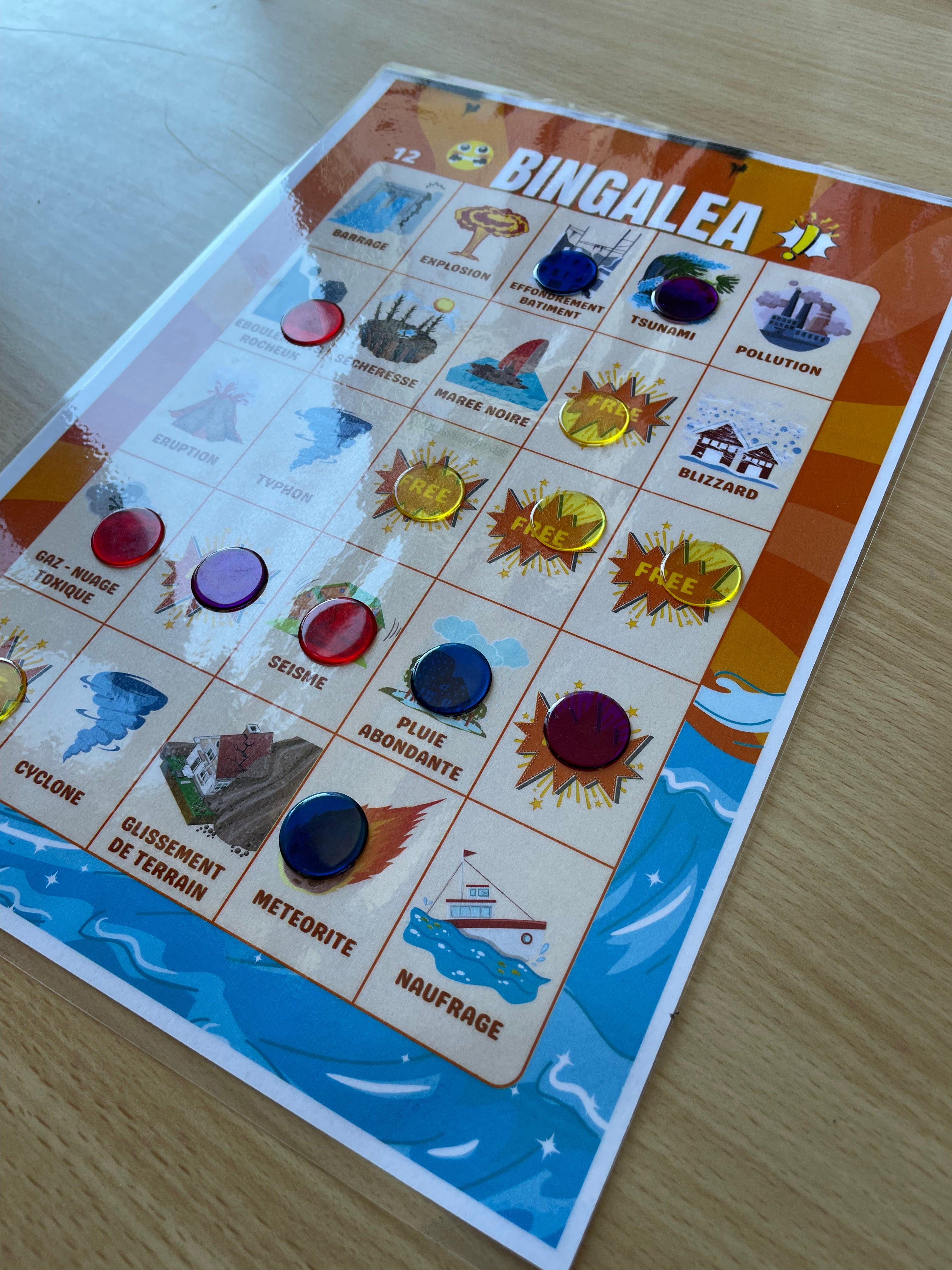 BINGALEA - Le Bingo des catastrophes (PDF)