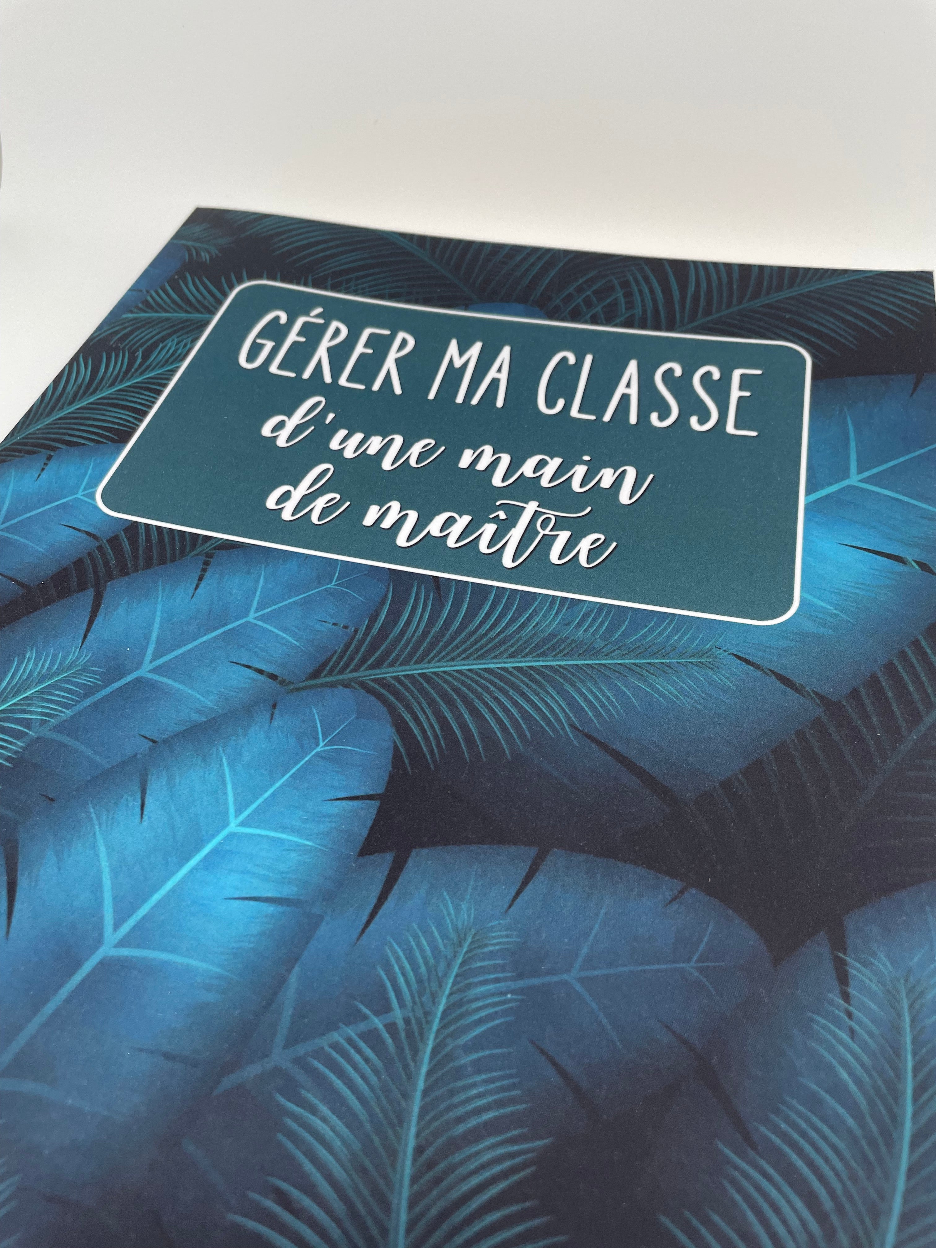 Gérer ma classe d'une main de maître
