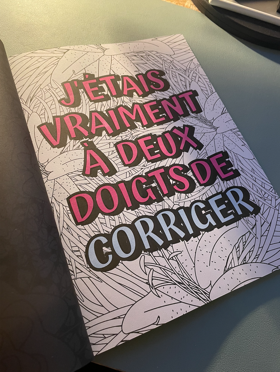 Un peu d'humour dans ce monde de profs