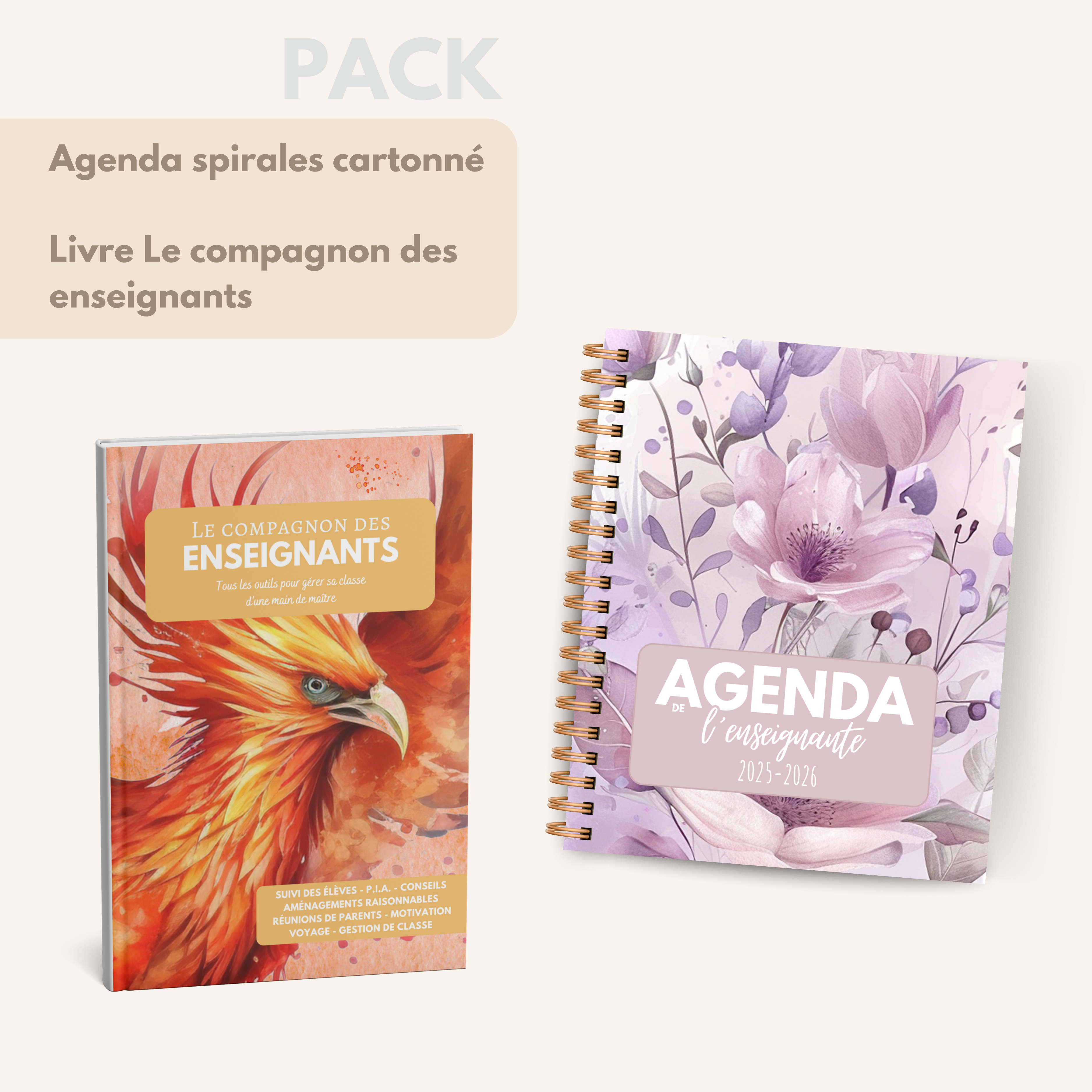 Agenda de l'enseignante LILA