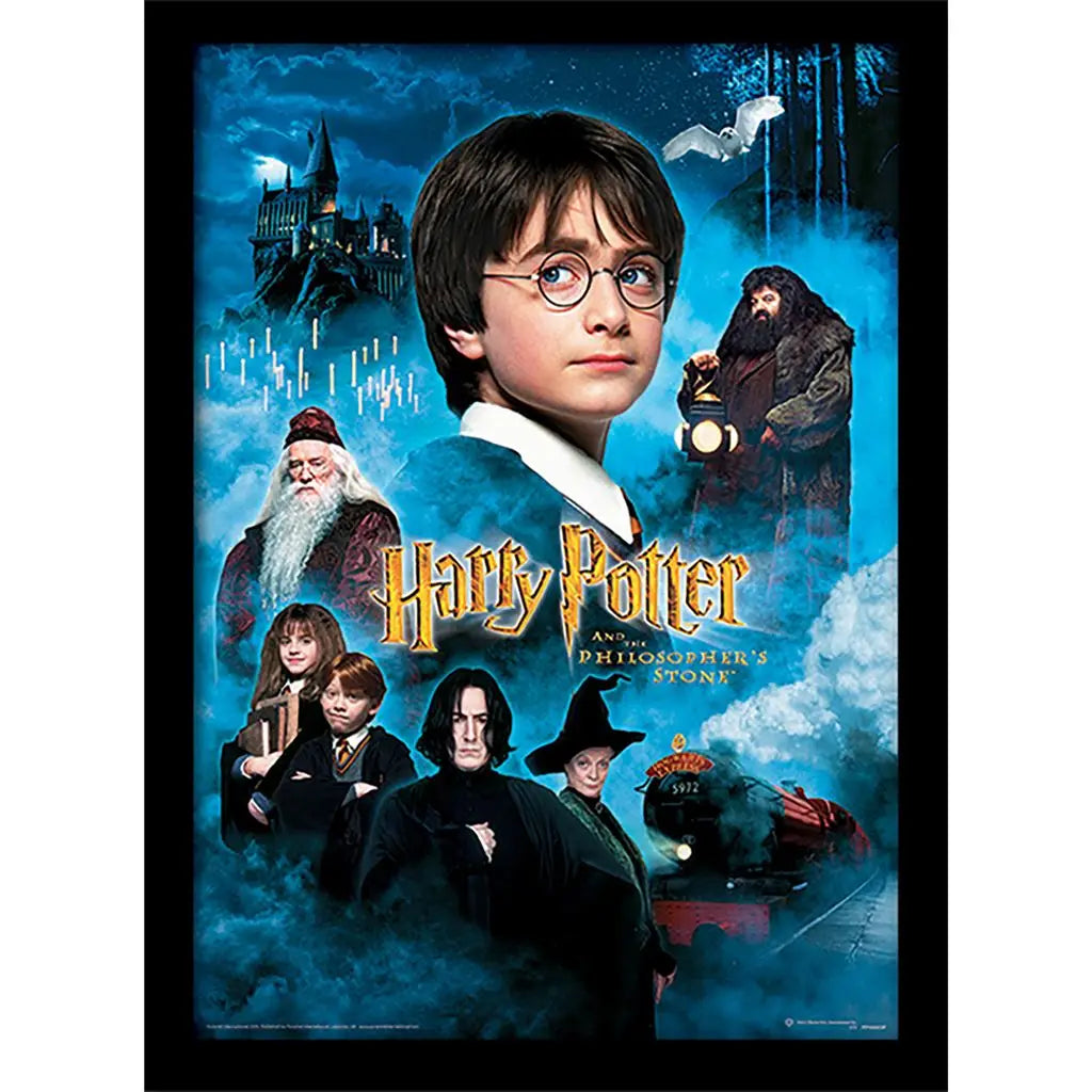 Affiche encadrée - Harry Potter à l'école des sorciers