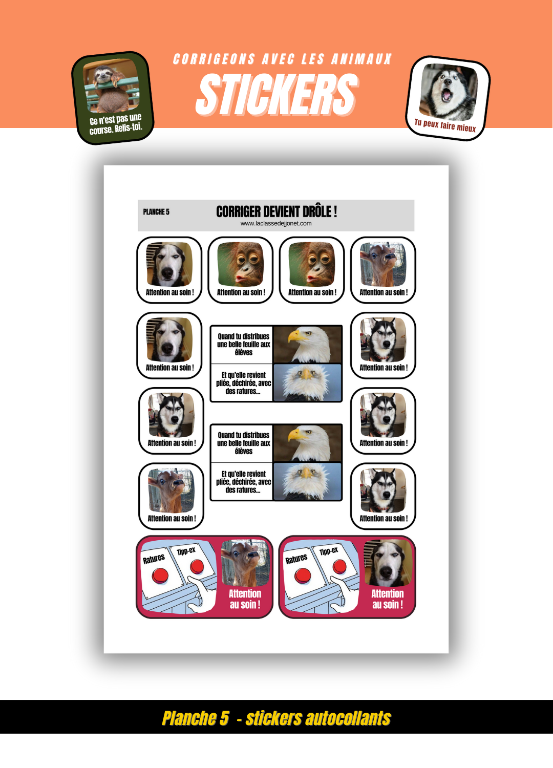 Pack stickers mèmes animaux