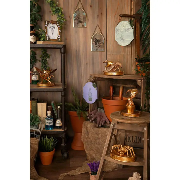 Harry Potter - Lutin de Cornouailles