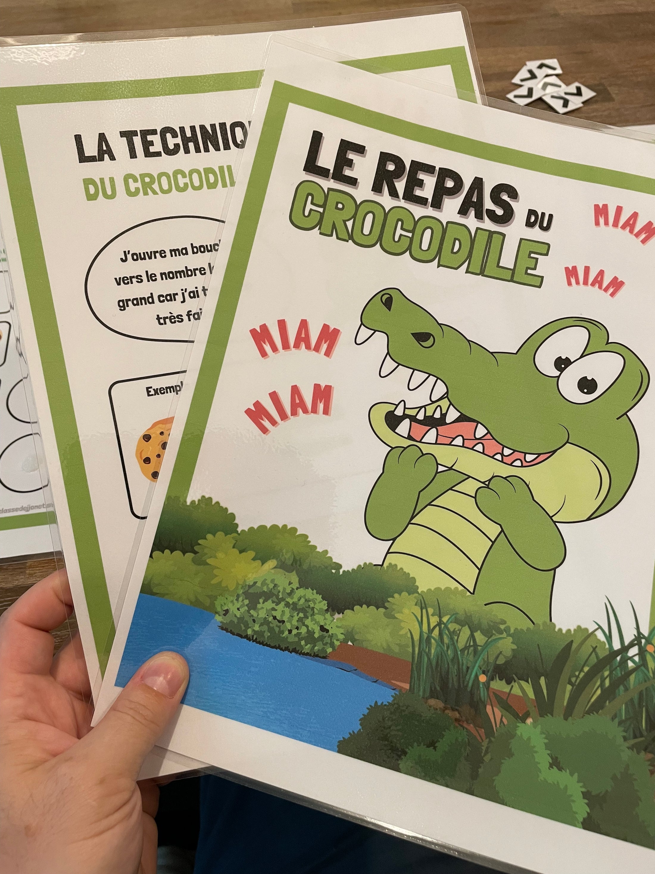 le-repas-du-crocodile-plus-grand-gal-ou-plus-petit-pdf