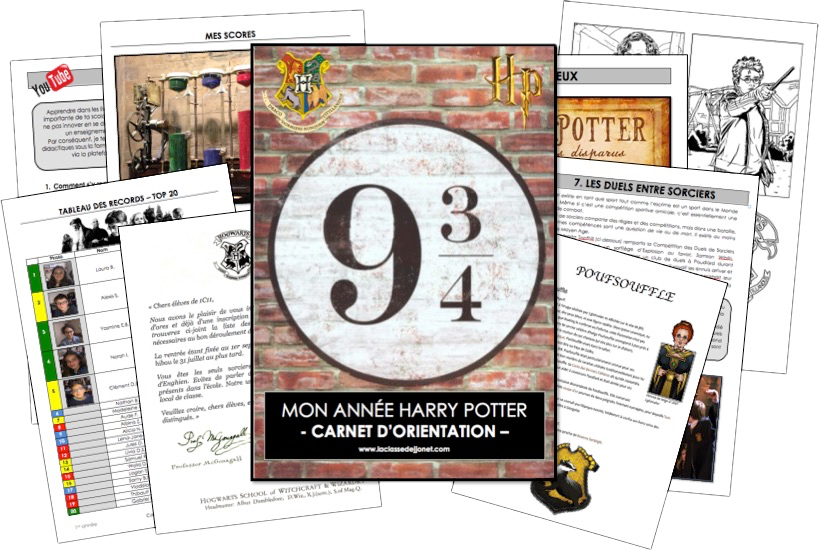 Mon année Harry Potter : carnet d'orientation