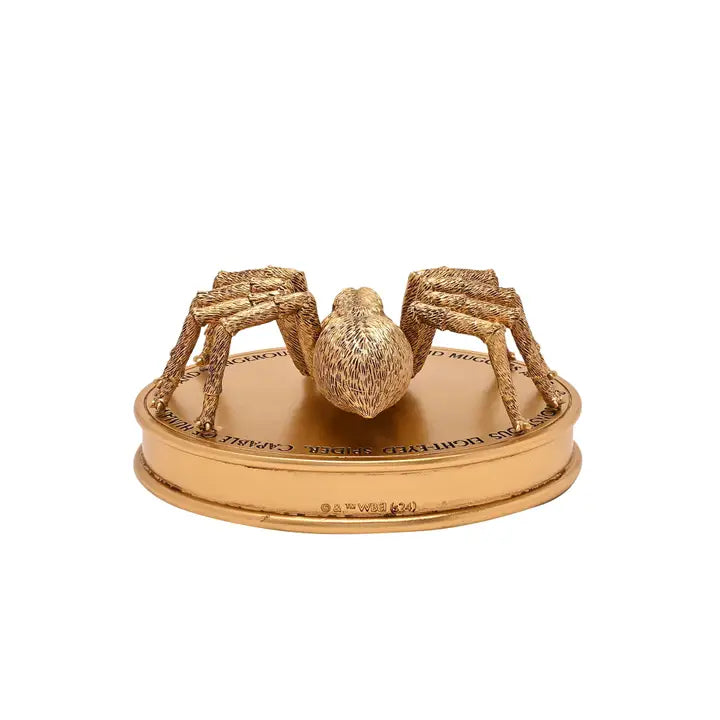 Harry Potter - Acromantule - Aragog